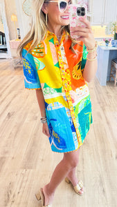 Uncle Frank Butterfly Block Party Dress