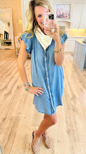 Denim Ruffle Button Down Mini Dress