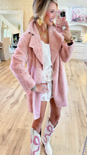 Ivy Jane Faux Fur and Suede Coat