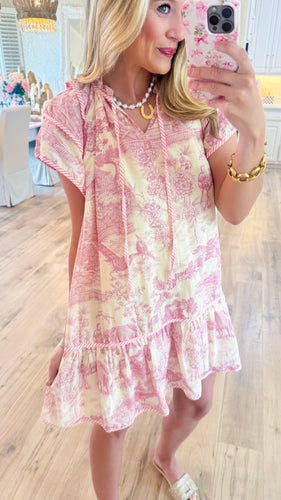 Light Pink Toile Print Dress