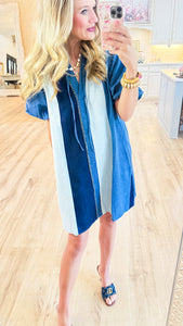 THML Denim Puff Sleeve Mini Dress