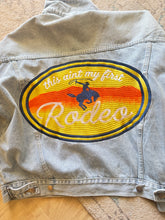 Deal of the day Light Denim Western Embroidered Jacket